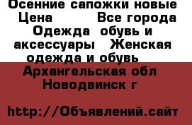 Осенние сапожки новые › Цена ­ 600 - Все города Одежда, обувь и аксессуары » Женская одежда и обувь   . Архангельская обл.,Новодвинск г.